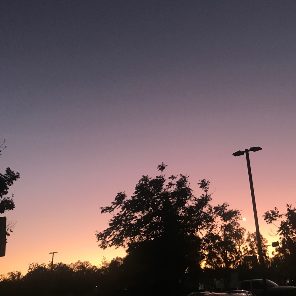 Meet your Posher, Cassandra